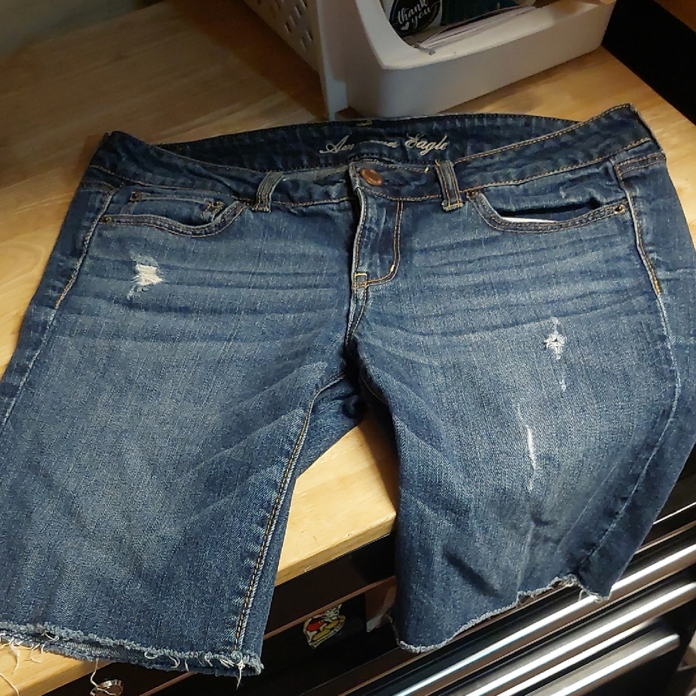 American Eagle Outfitters Blue Jean Shorts